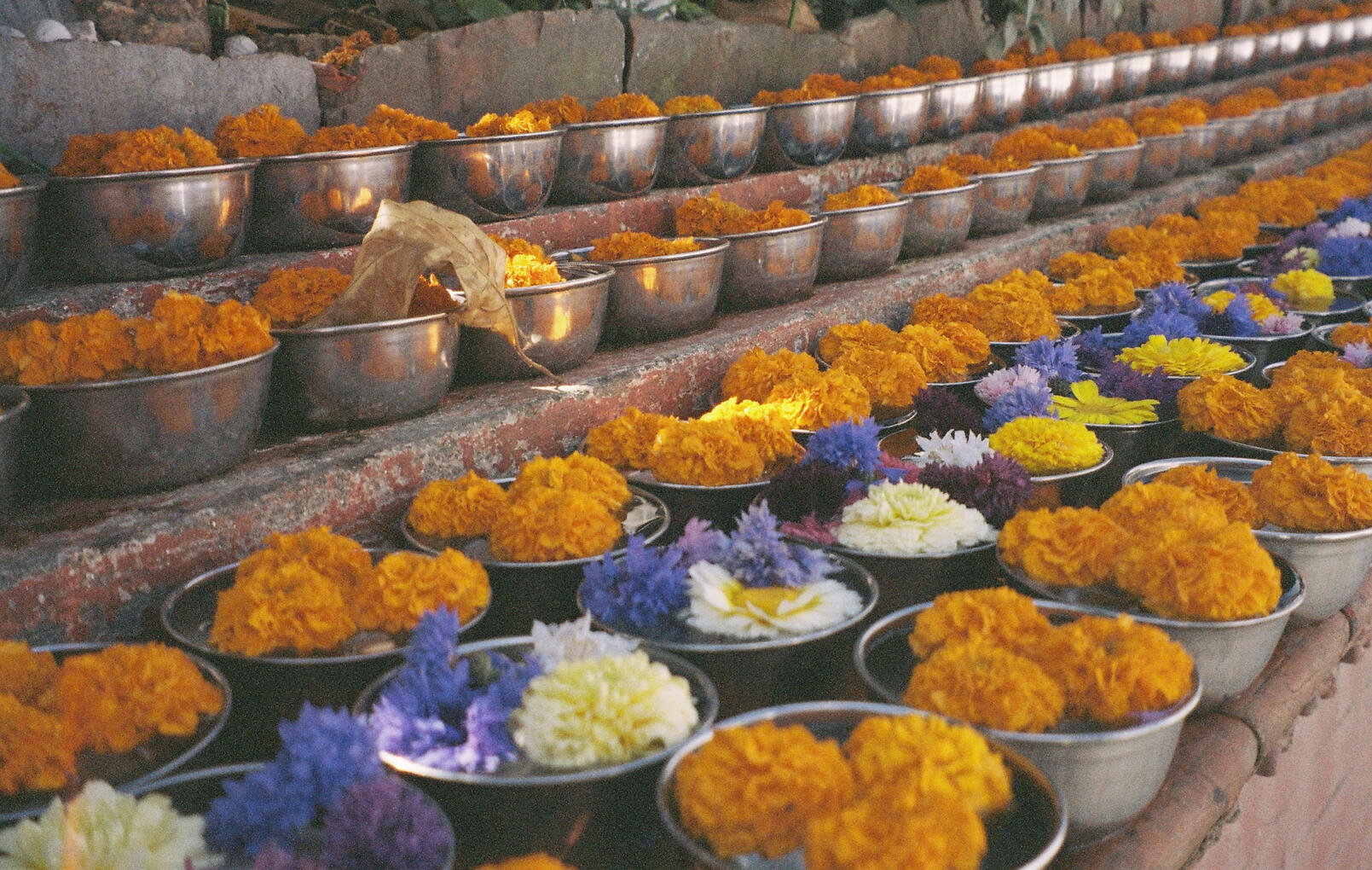 Nepal - 24